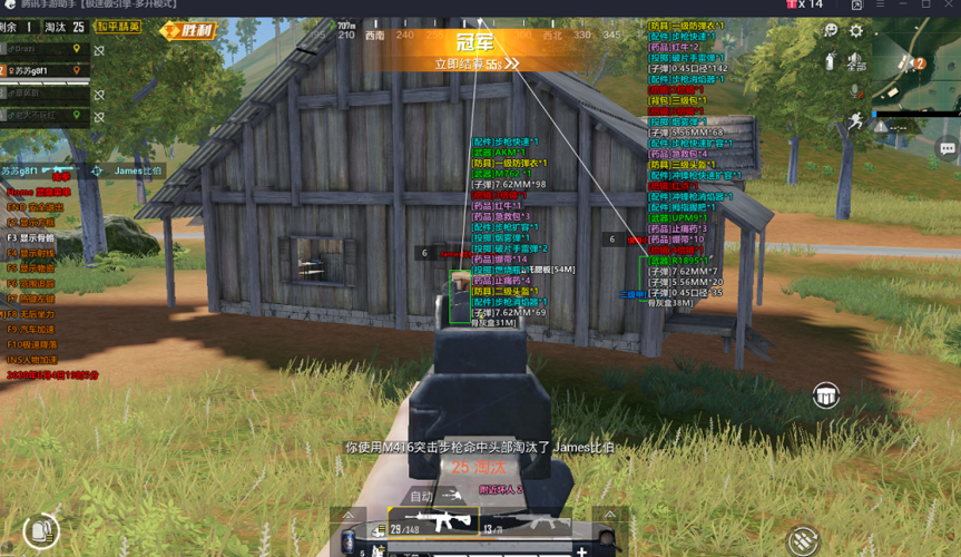 和平精英《火锅》辅助